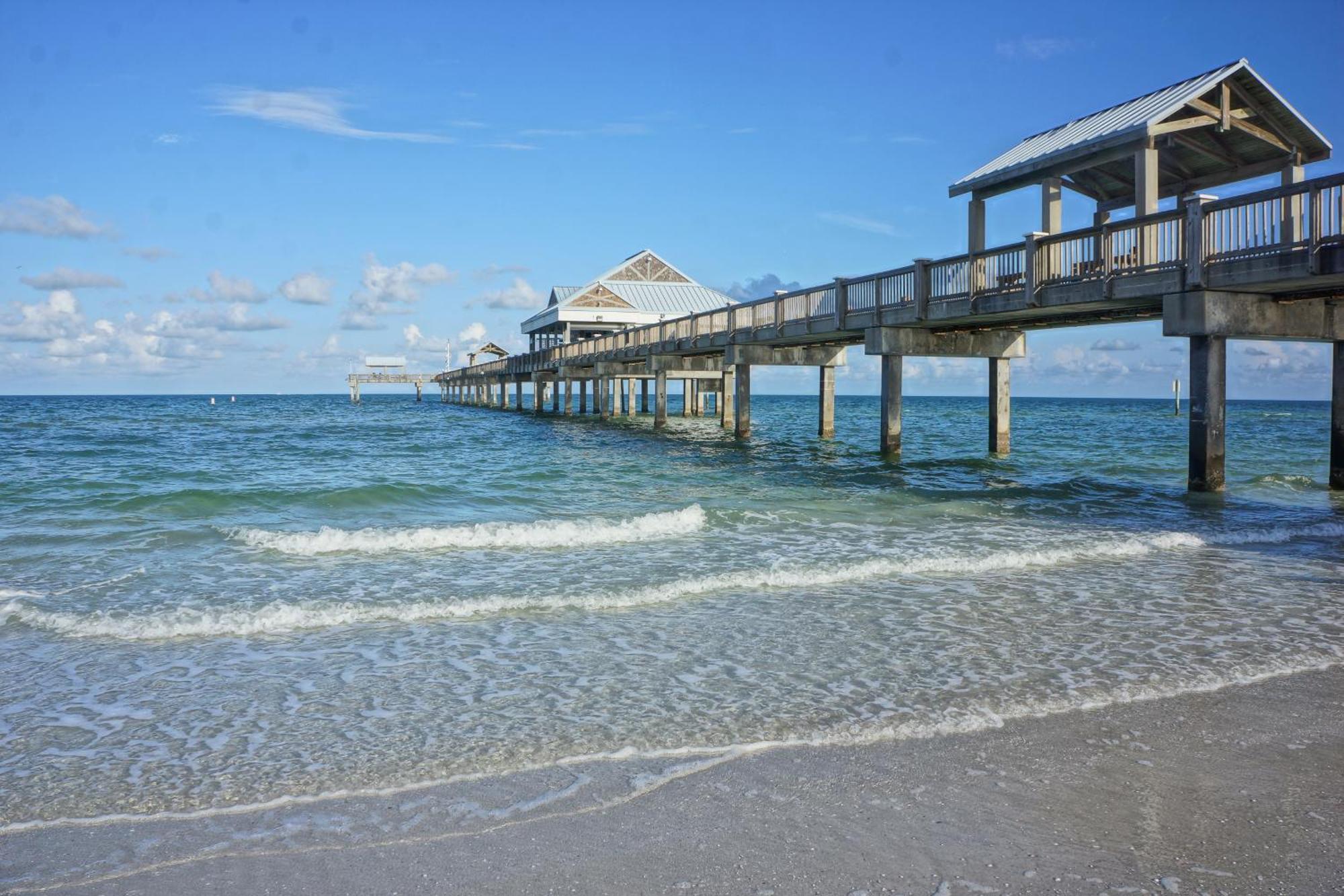 Tropical Paradise Clearwater Beach Δωμάτιο φωτογραφία